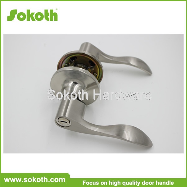 Stainless Steel Custom Tubular Lever Lock